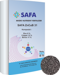 SAFA 31